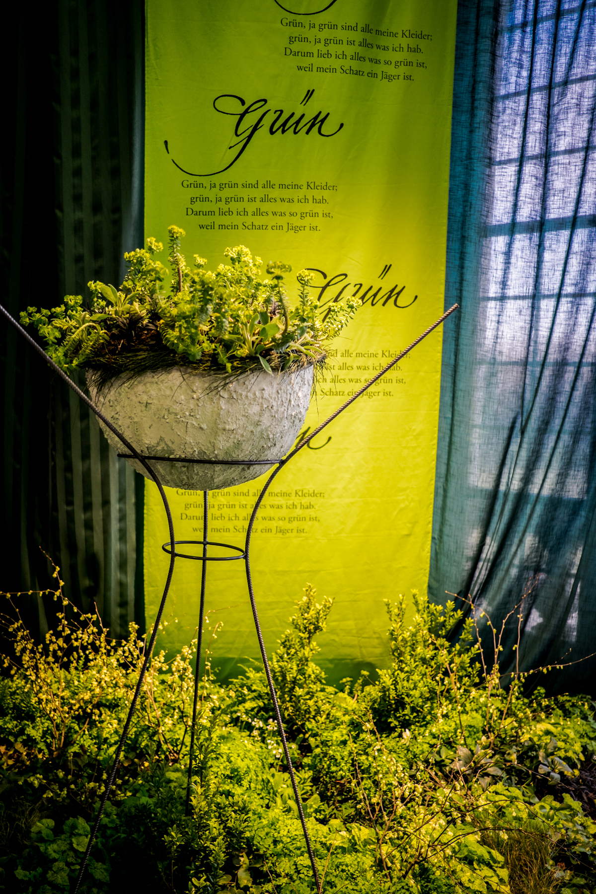 Fruehling im Palais 2018 DD 136 von 170