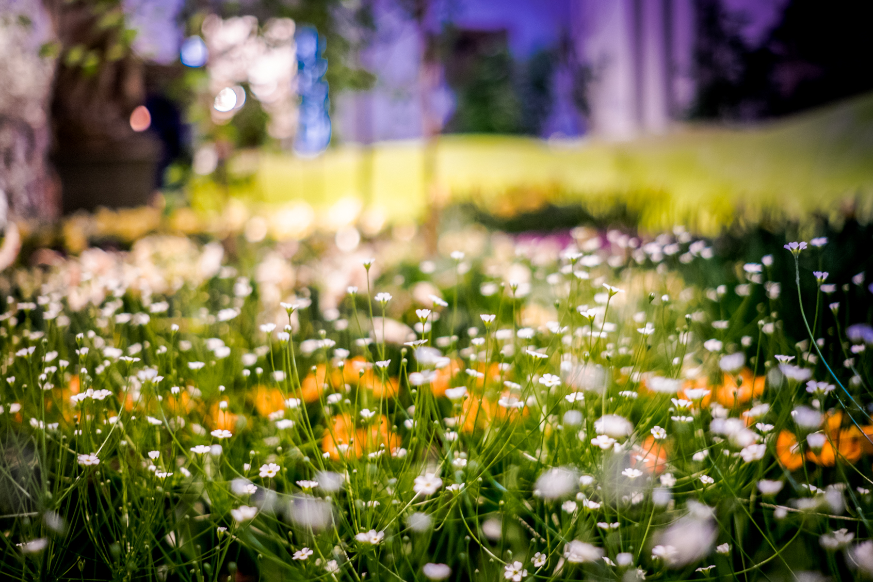 Fruehling im Palais 2018 DD 15 von 170