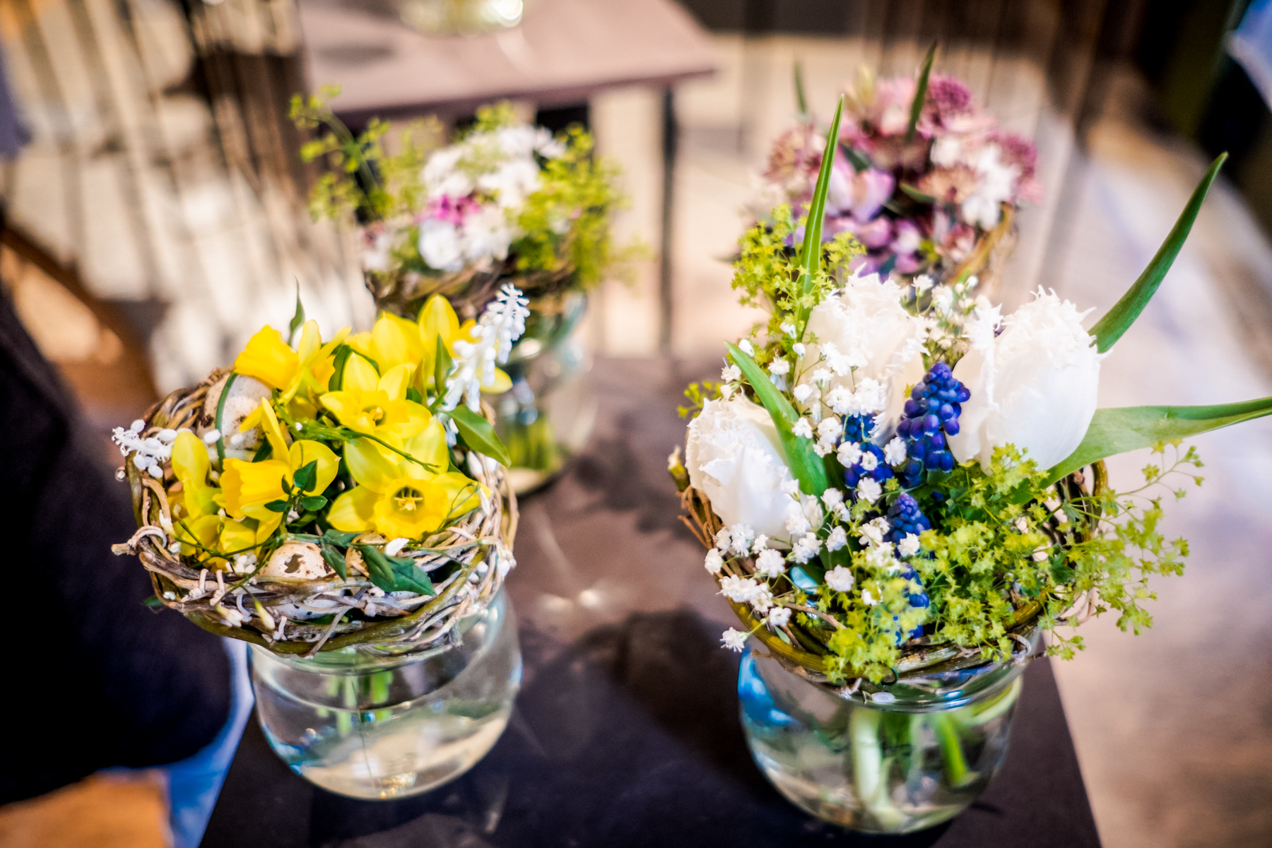 Fruehling im Palais 2018 DD 39 von 170