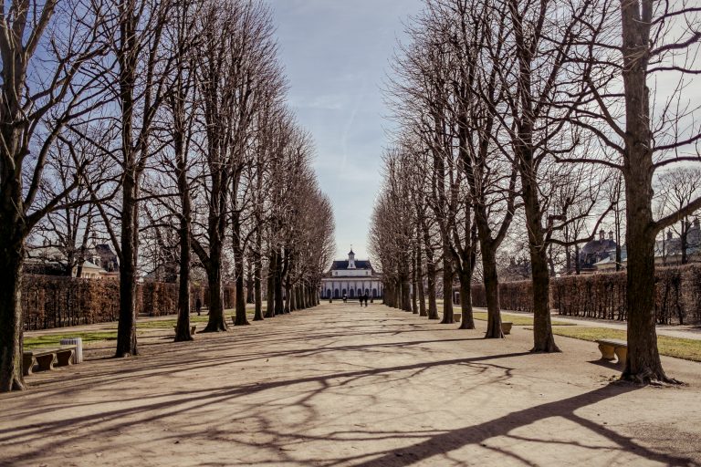 Fuji 23mm 3 1