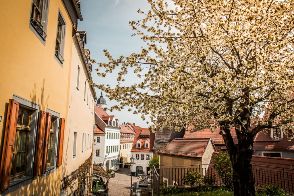 Mei 04 20 18 von 77